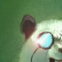 79193